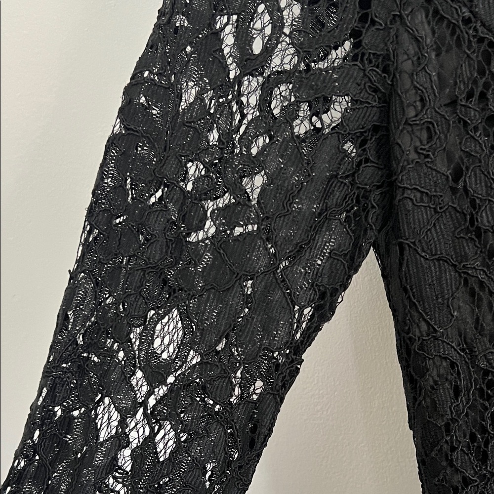 Chic Black Lace Dress - Picture 3 of 5